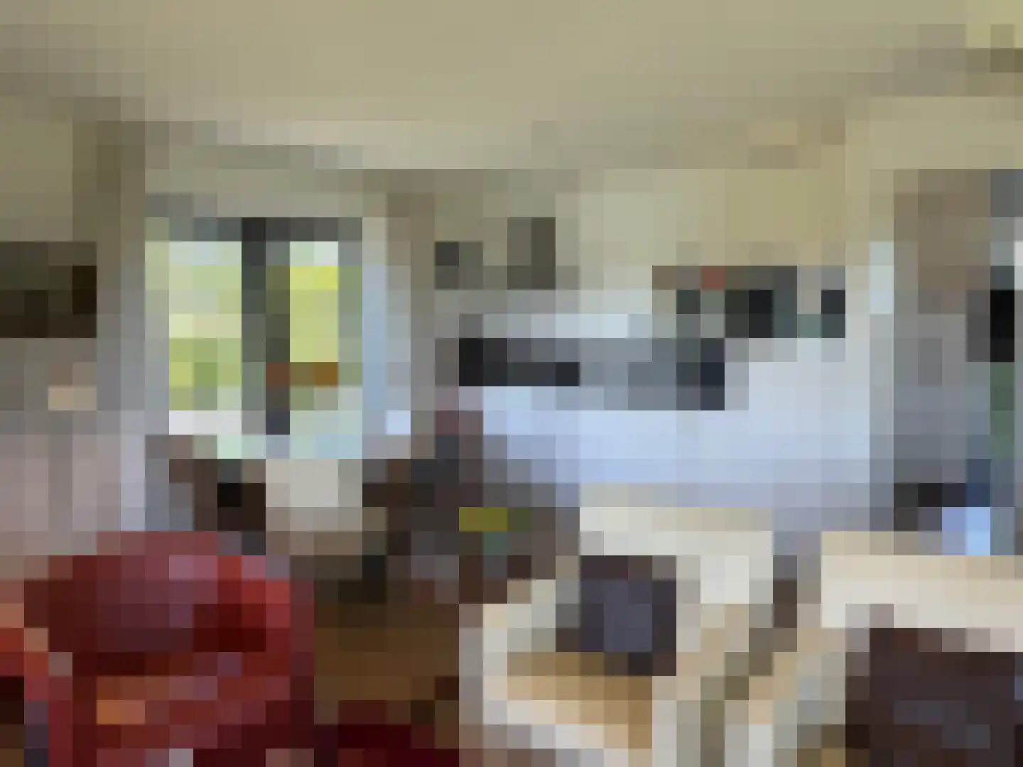 De Potten 101 Offingawier thumbnail 38