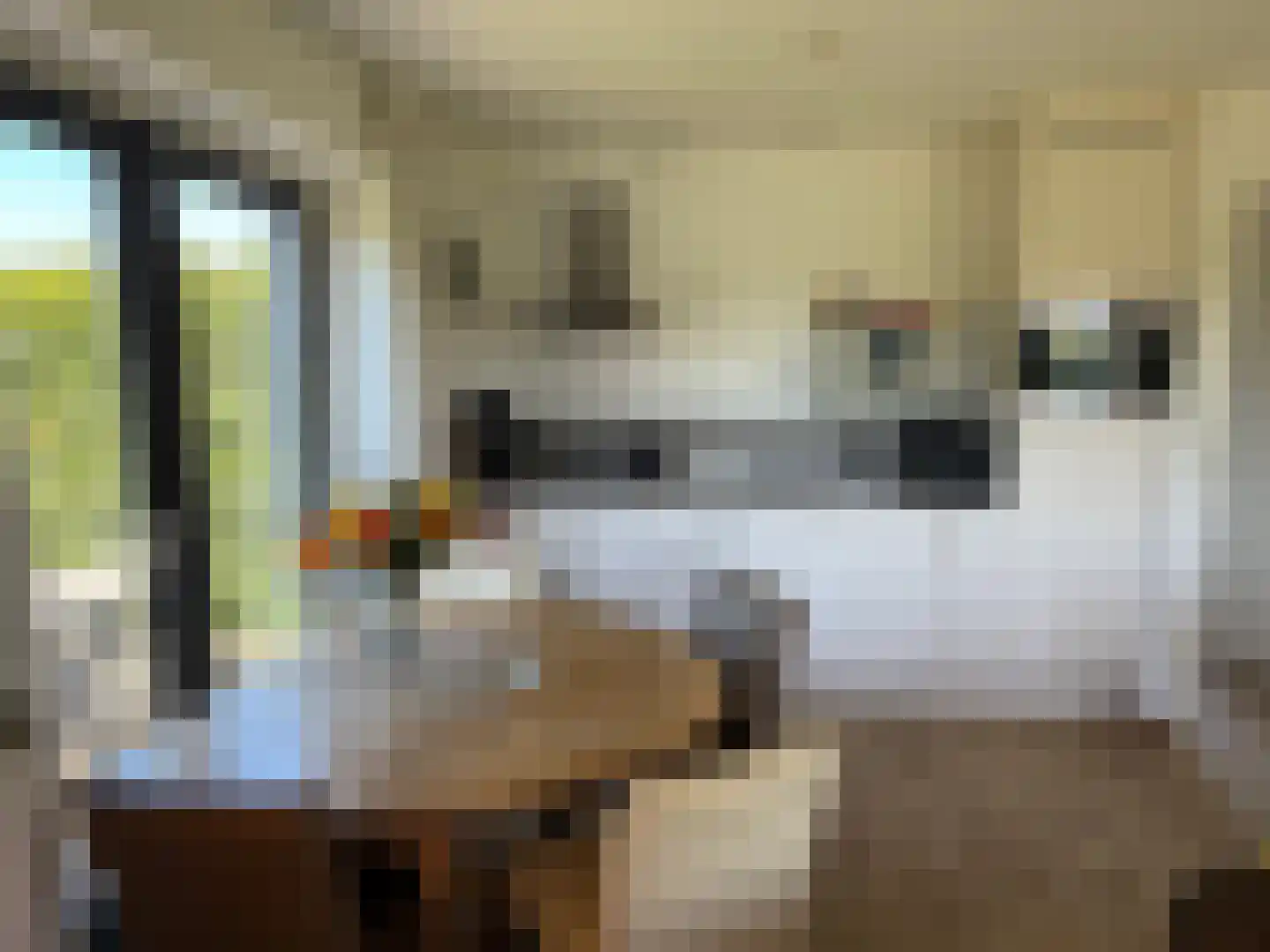 De Potten 101 Offingawier thumbnail 39