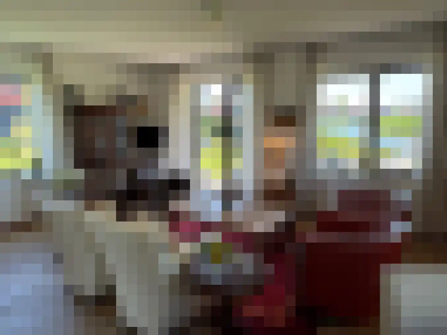 De Potten 101 Offingawier thumbnail 41