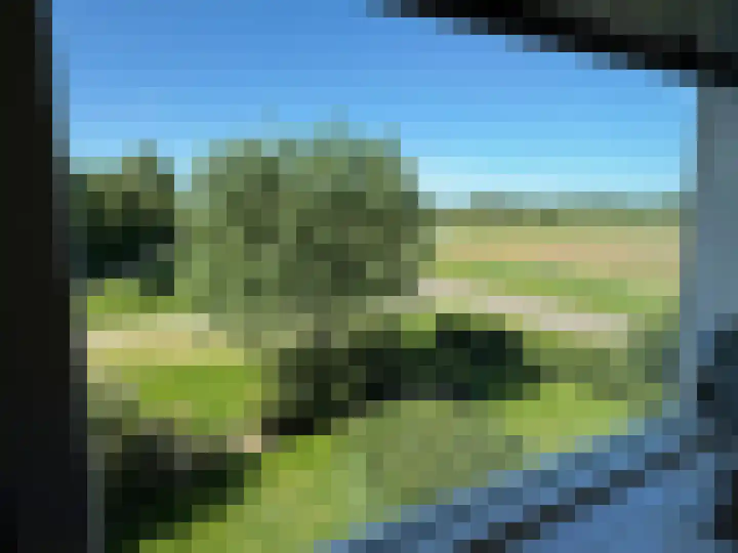 De Potten 101 Offingawier thumbnail 51
