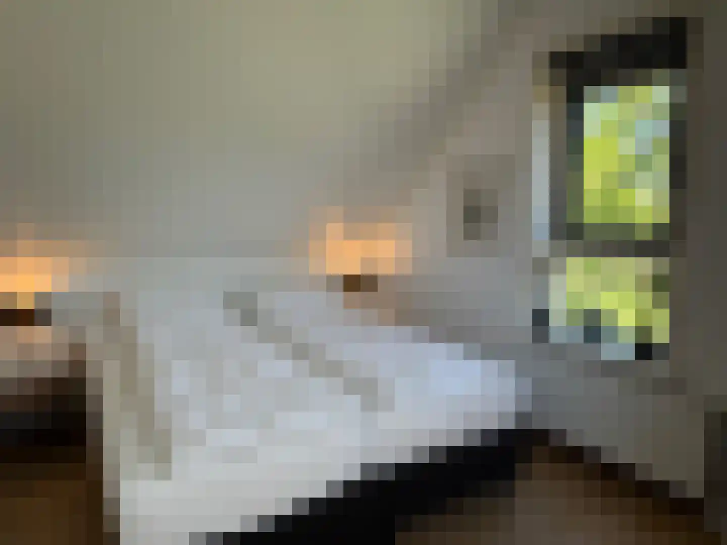De Potten 101 Offingawier thumbnail 61