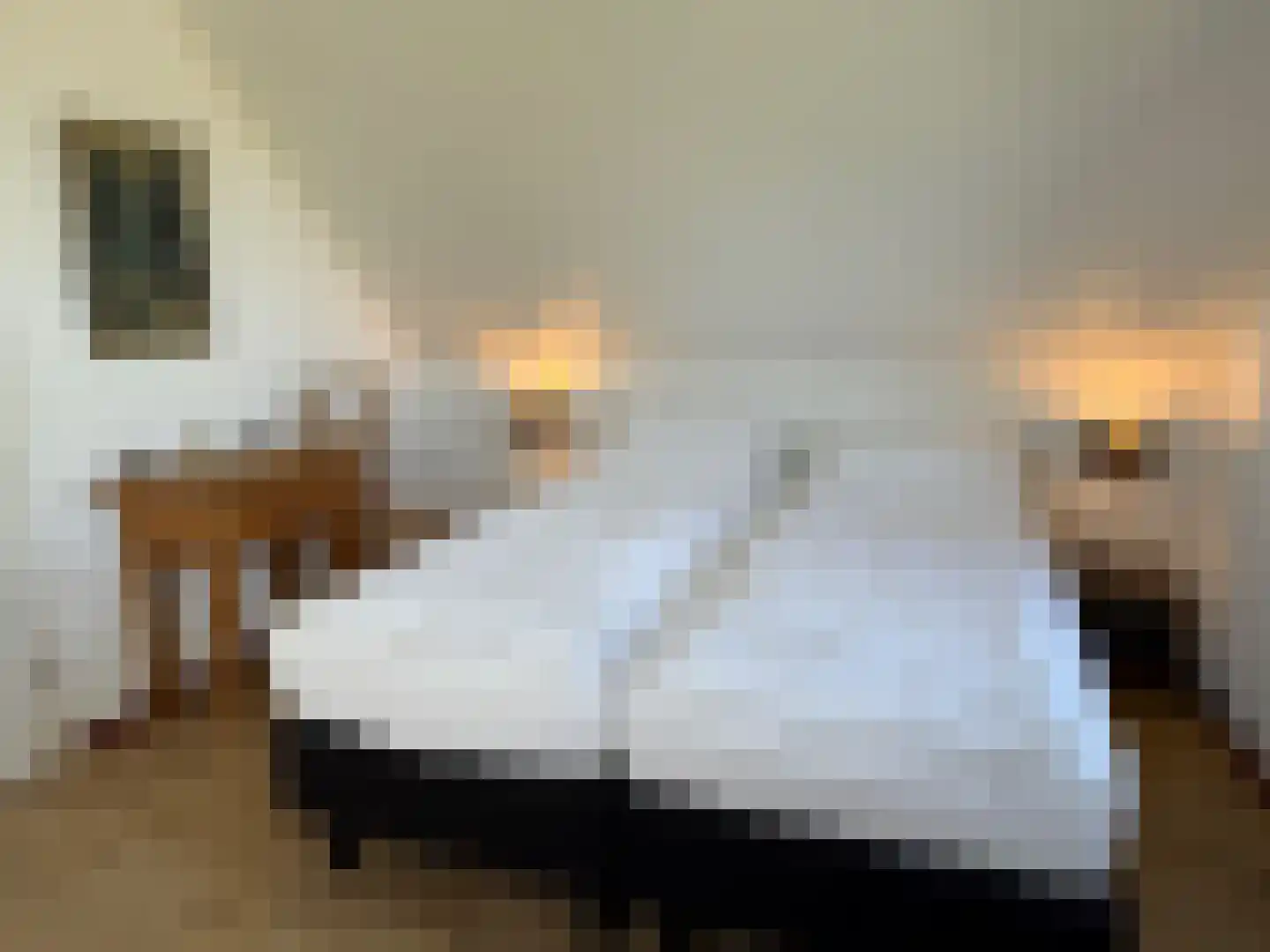 De Potten 101 Offingawier thumbnail 62
