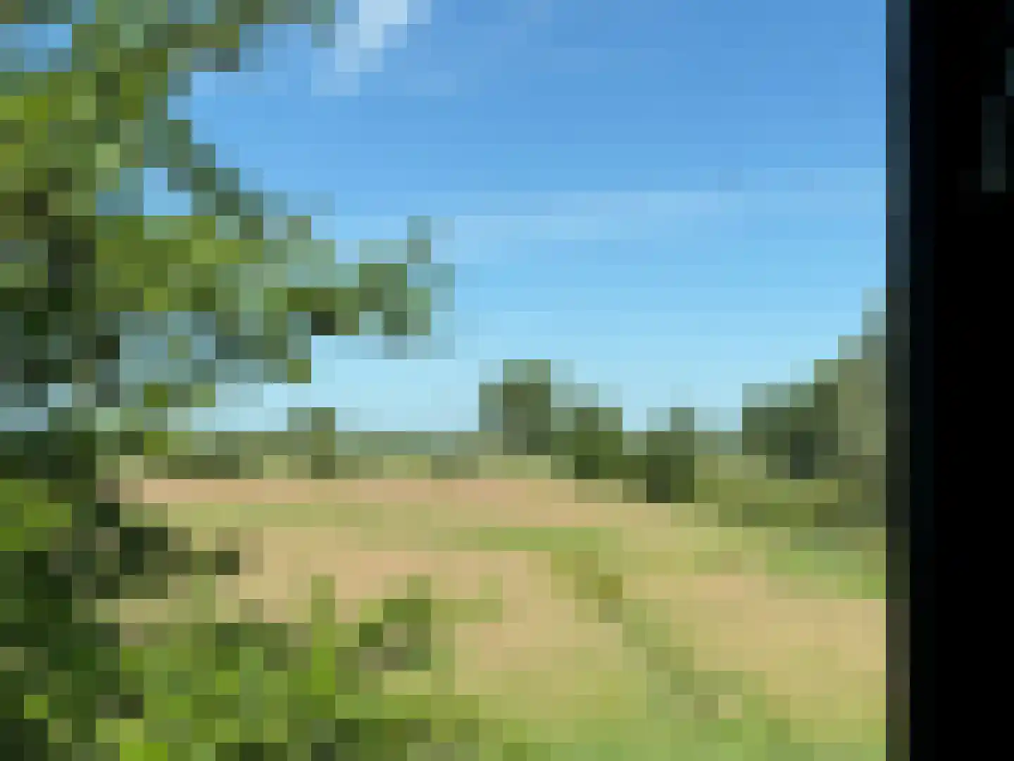 De Potten 101 Offingawier thumbnail 64