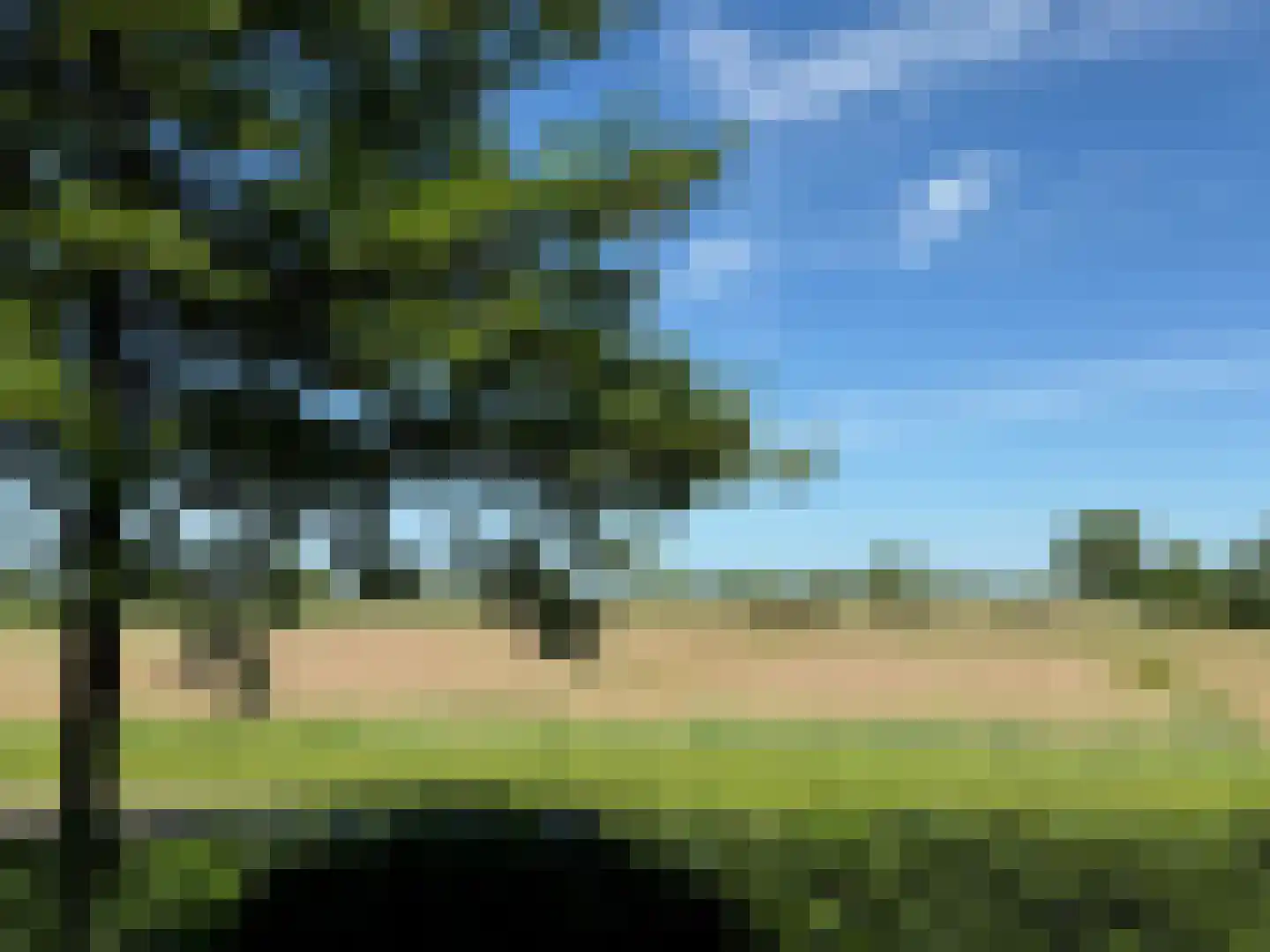 De Potten 101 Offingawier thumbnail 68
