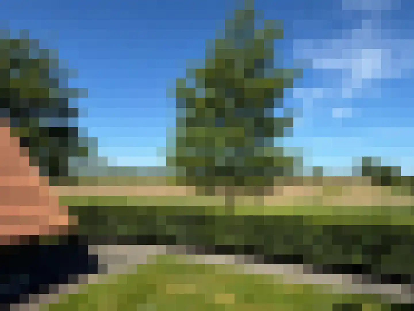 De Potten 101 Offingawier thumbnail 72