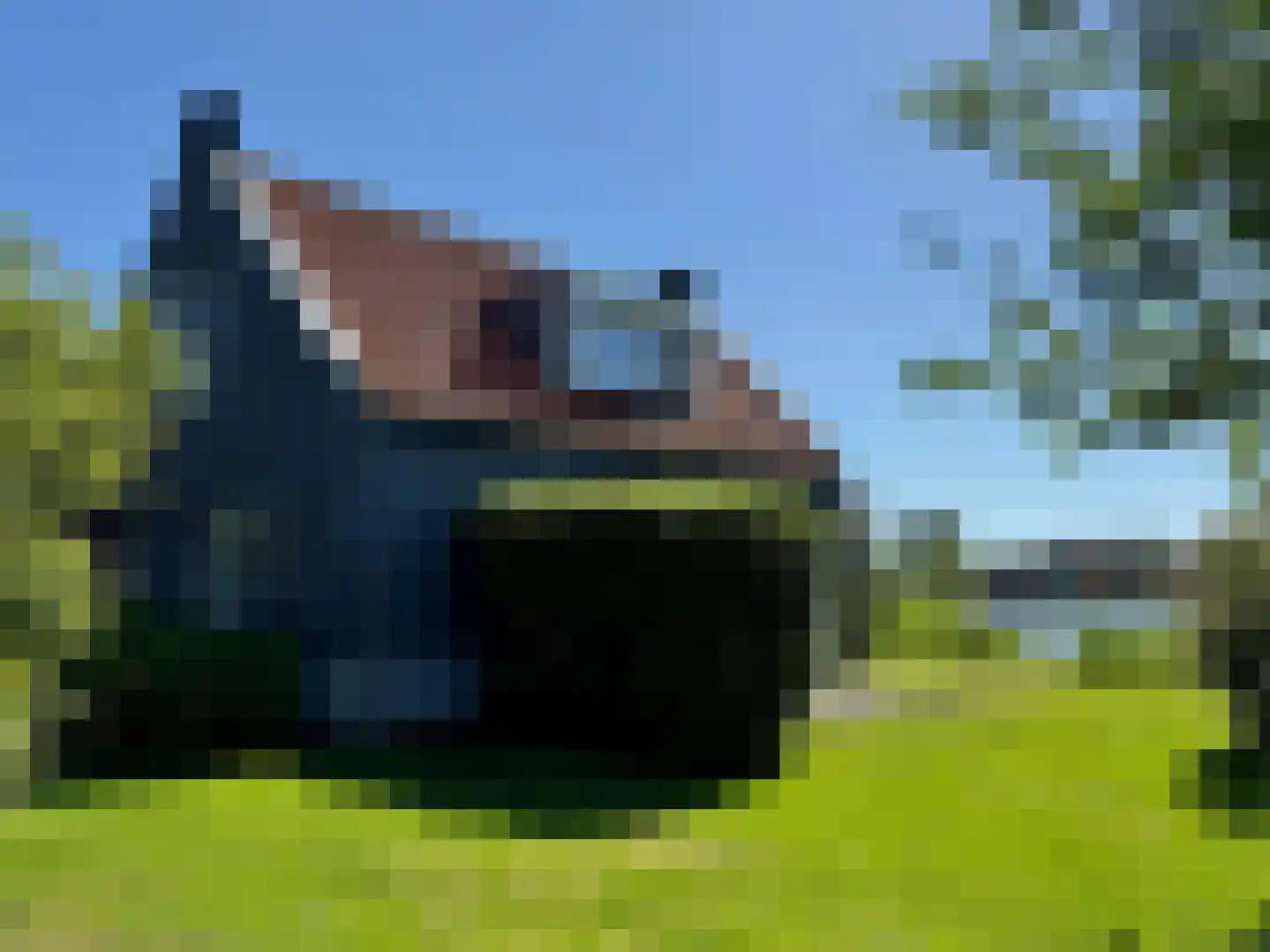 De Potten 101 Offingawier thumbnail 8