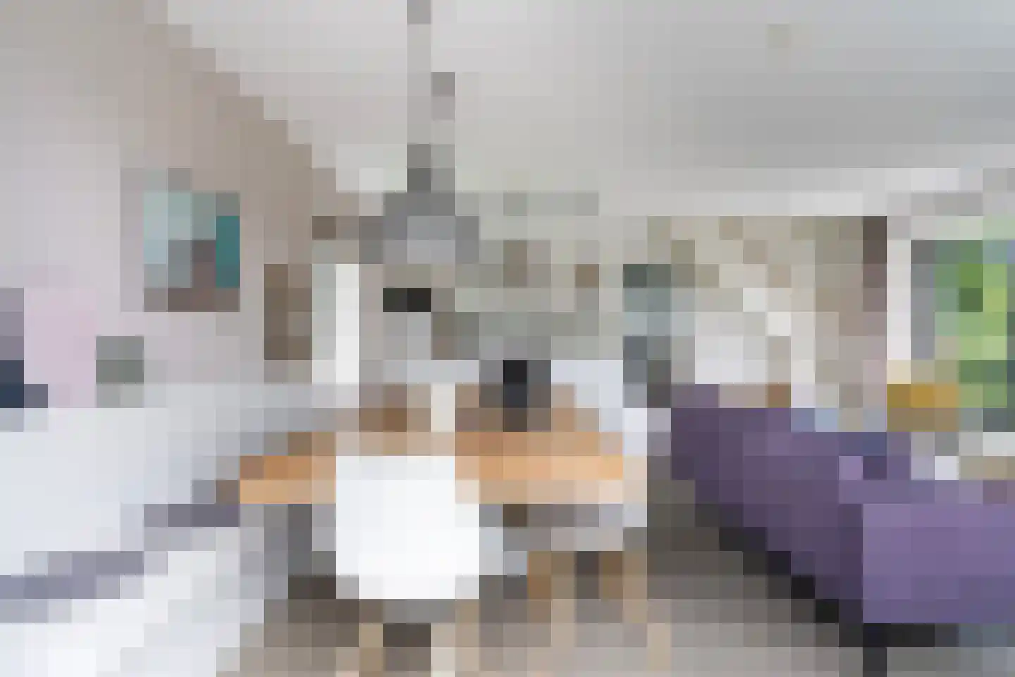 De Potten 105 Offingawier thumbnail 13