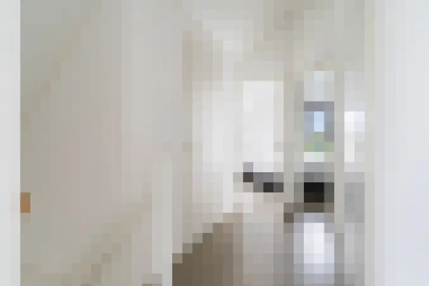 De Potten 105 Offingawier thumbnail 24