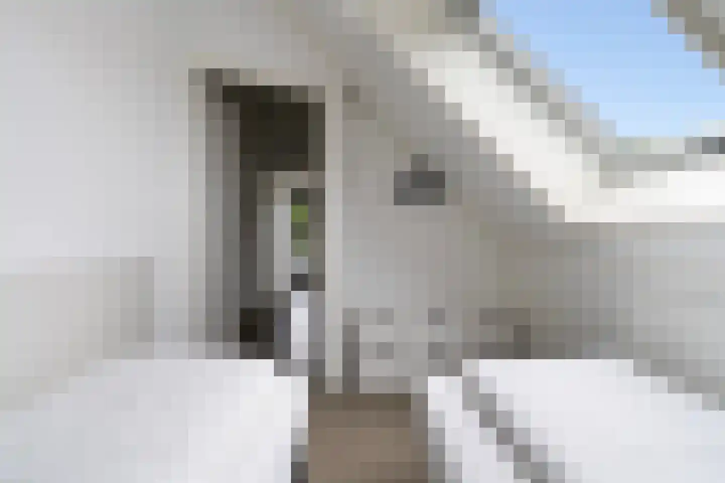 De Potten 105 Offingawier thumbnail 31