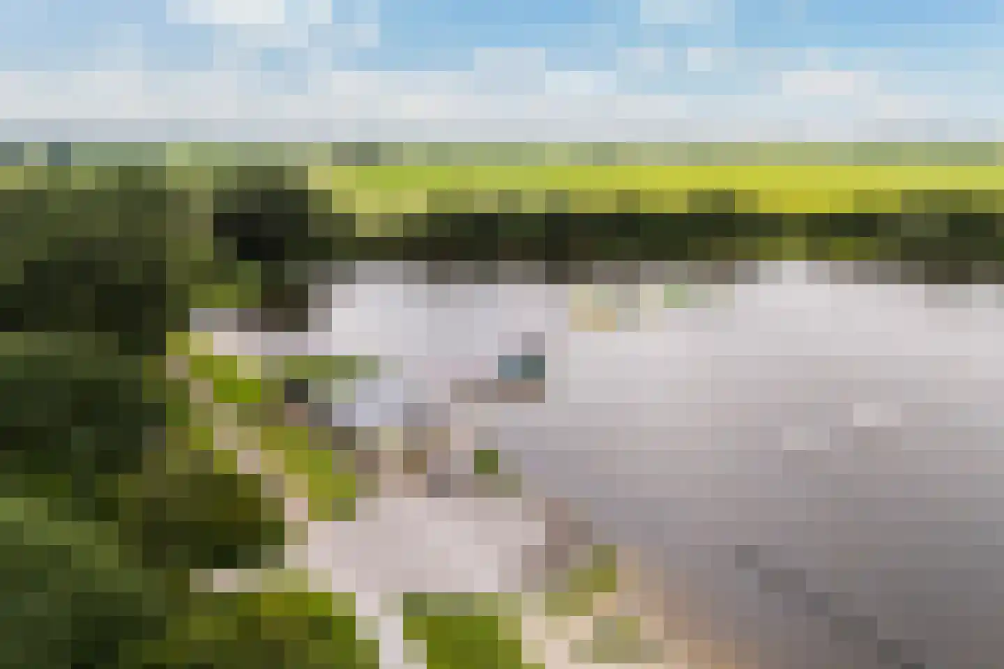 De Potten 105 Offingawier thumbnail 55