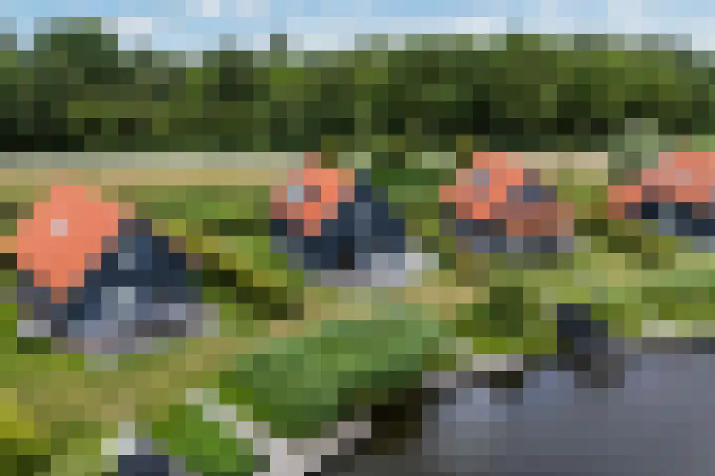 De Potten 105 Offingawier thumbnail 61