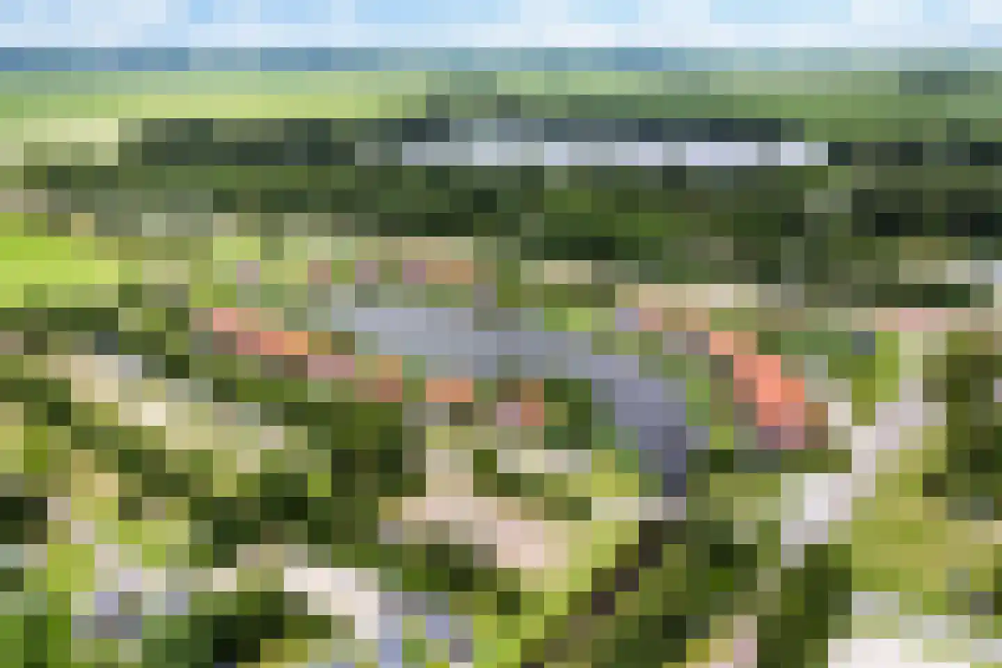 De Potten 105 Offingawier thumbnail 65