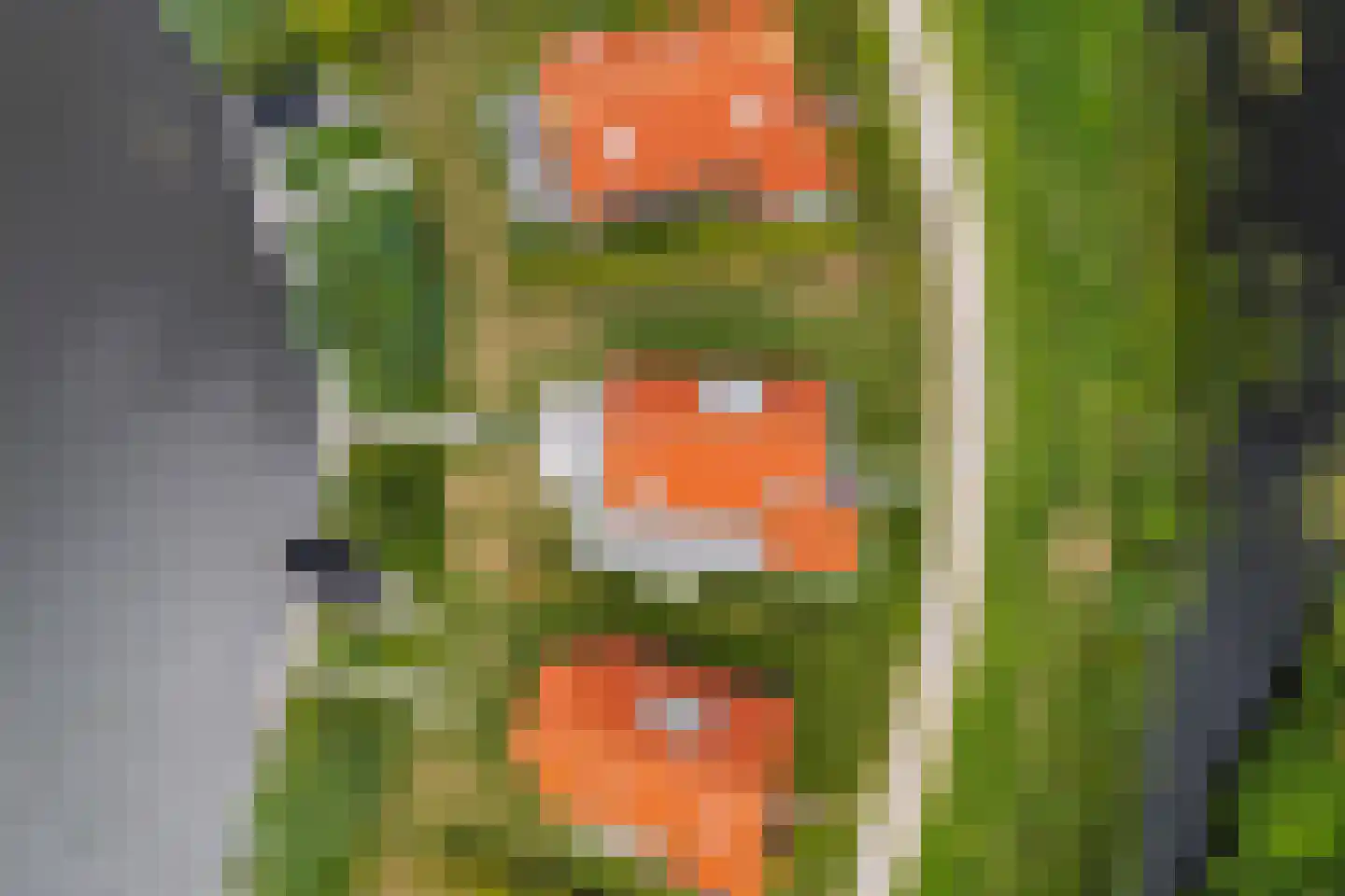 De Potten 105 Offingawier thumbnail 69