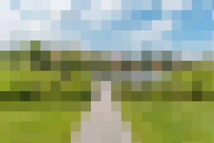 De Potten 110 Offingawier thumbnail 11