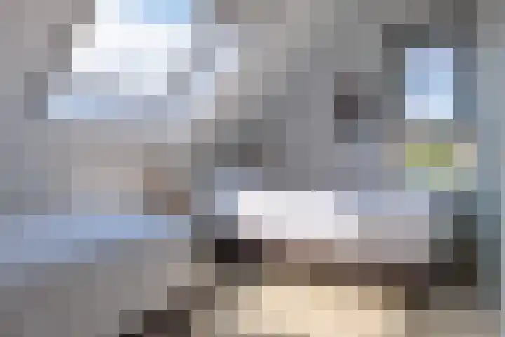 De Potten 110 Offingawier thumbnail 20