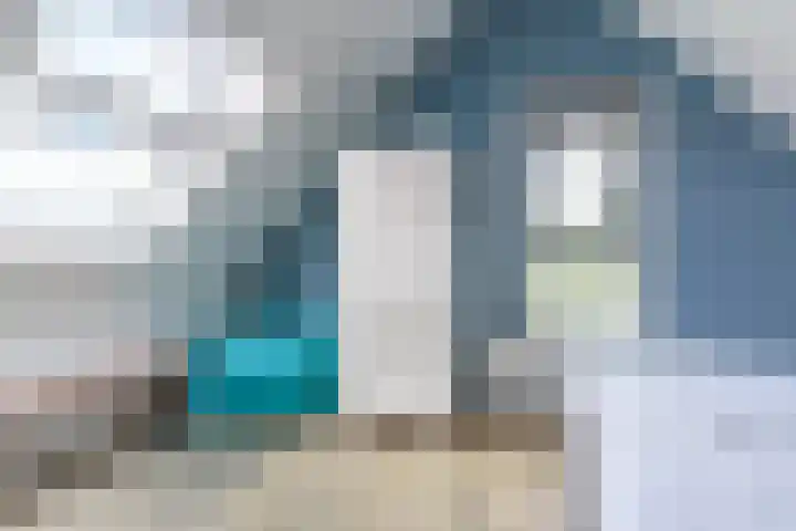 De Potten 110 Offingawier thumbnail 22