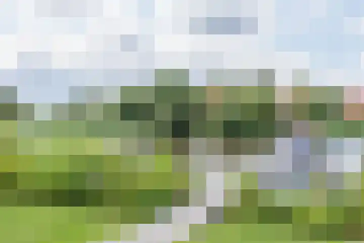De Potten 110 Offingawier thumbnail 28