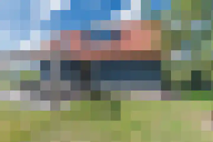 De Potten 110 Offingawier thumbnail 29