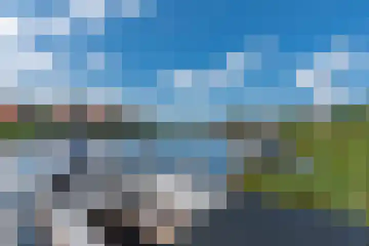 De Potten 110 Offingawier thumbnail 30