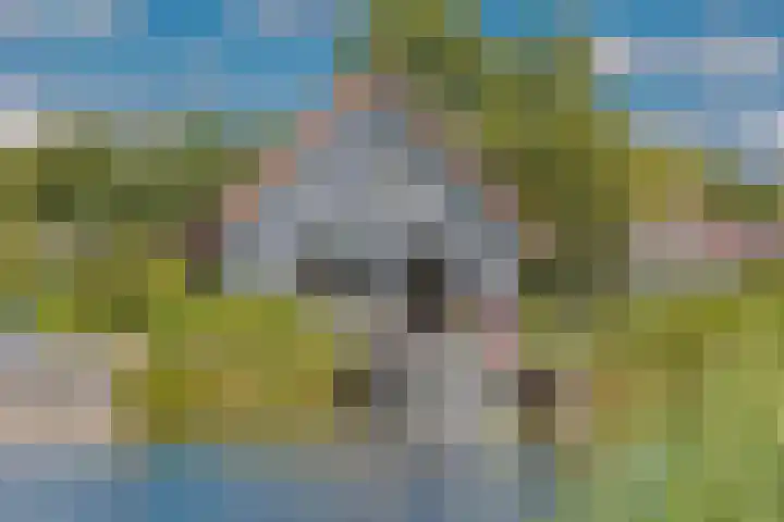 De Potten 110 Offingawier thumbnail 32