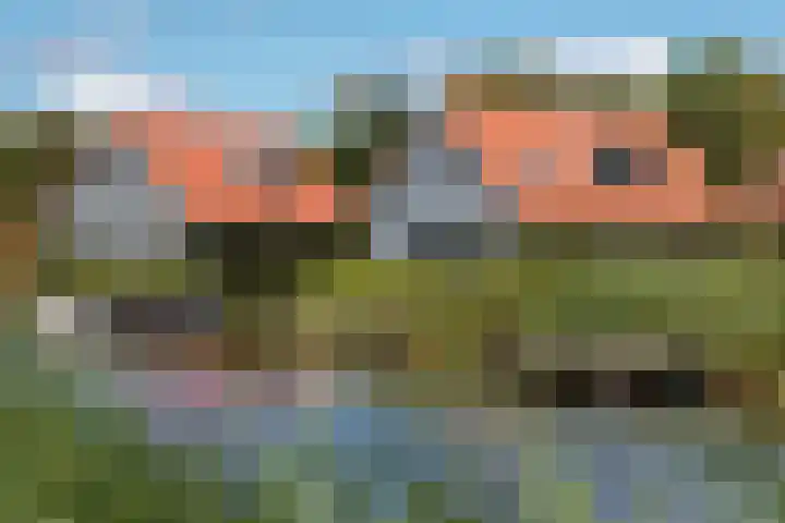 De Potten 110 Offingawier thumbnail 35