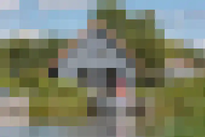 De Potten 110 Offingawier thumbnail 36
