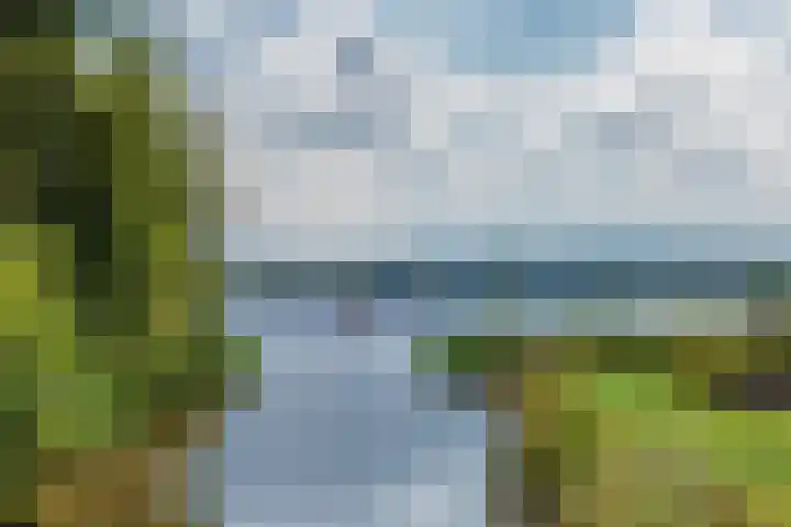 De Potten 110 Offingawier thumbnail 37