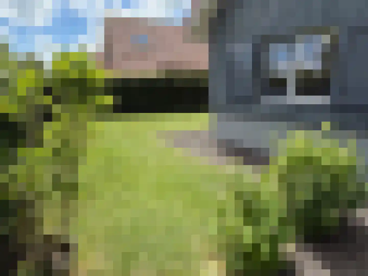 De Potten 111 Offingawier thumbnail 10