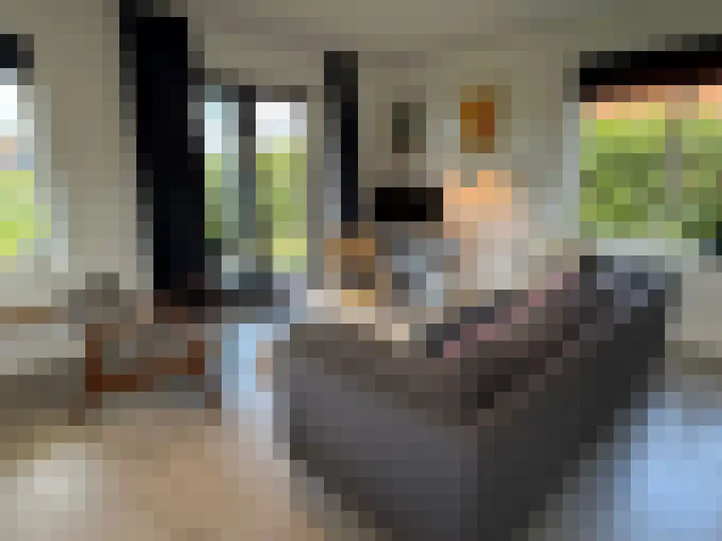 De Potten 111 Offingawier thumbnail 43