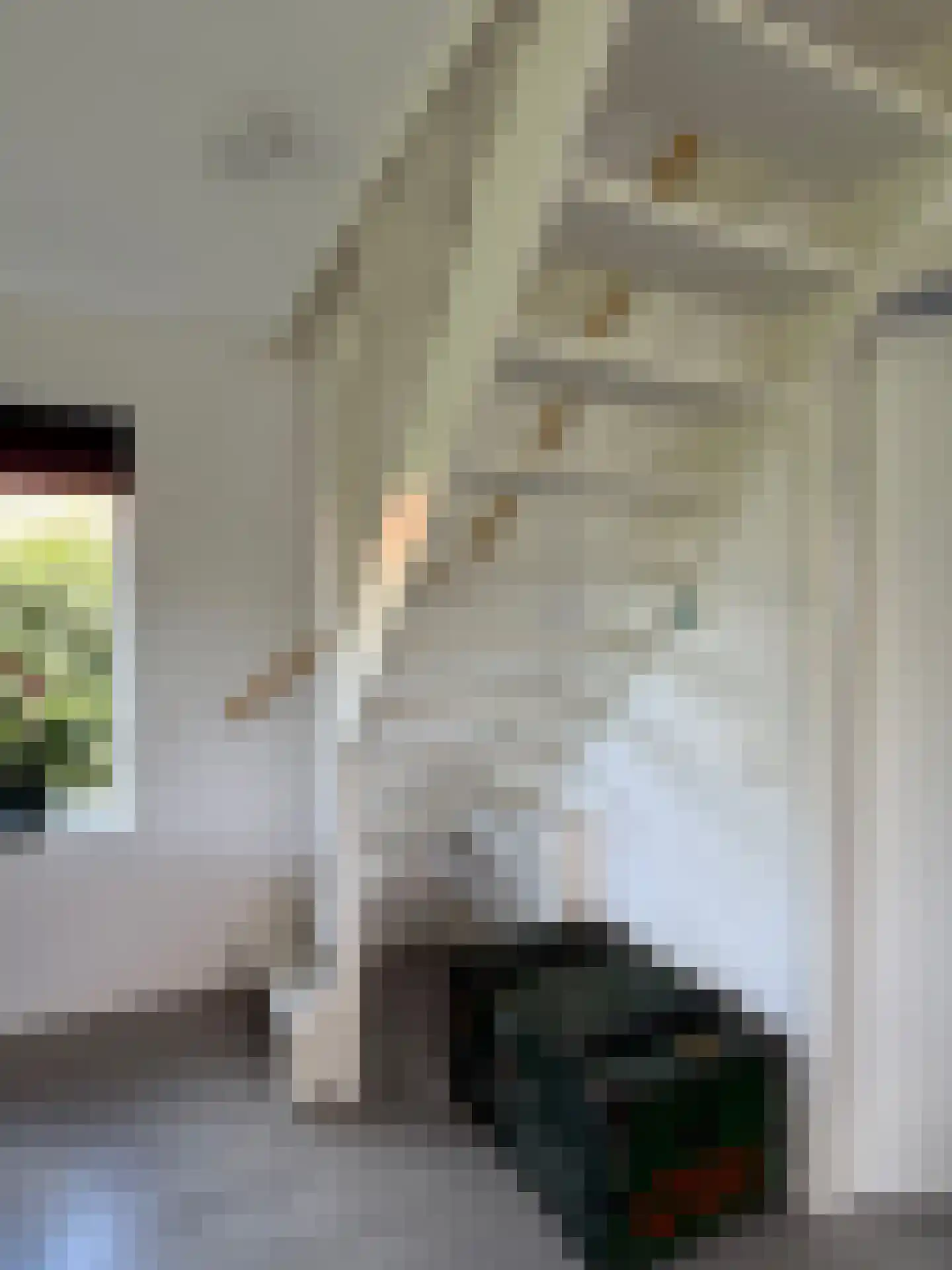 De Potten 111 Offingawier thumbnail 48