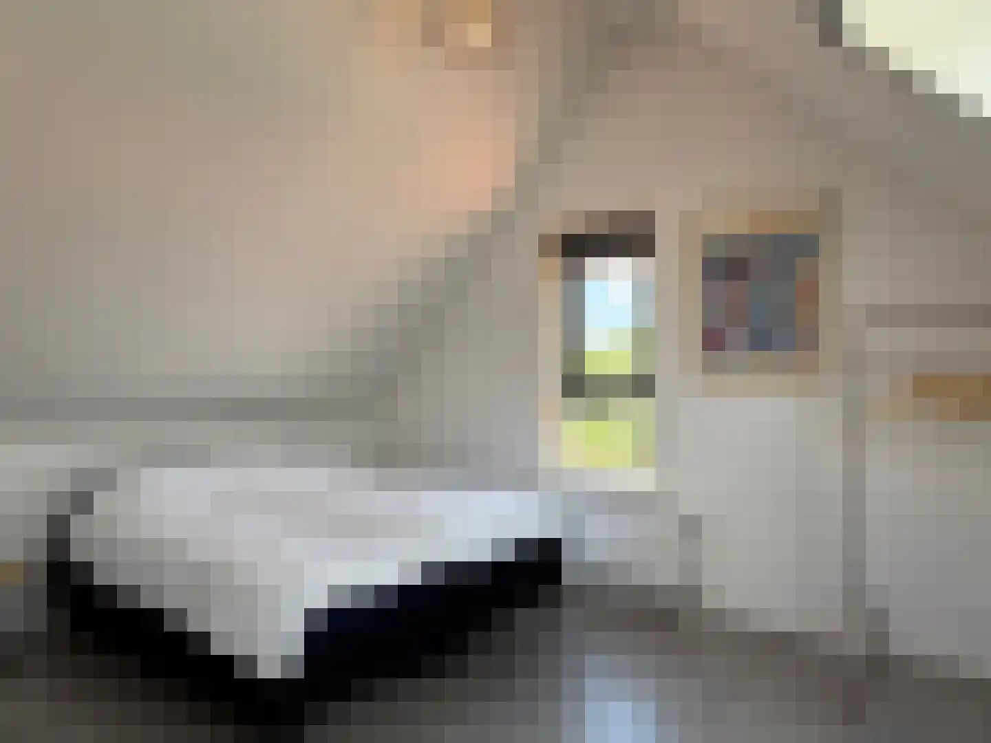 De Potten 111 Offingawier thumbnail 62