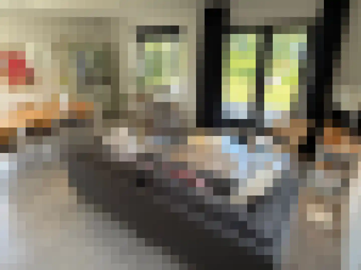 De Potten 111 Offingawier thumbnail 68
