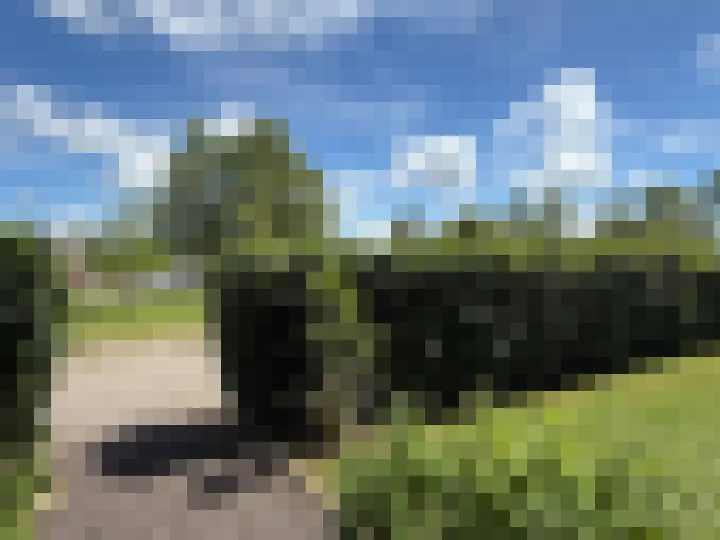 De Potten 111 Offingawier thumbnail 70