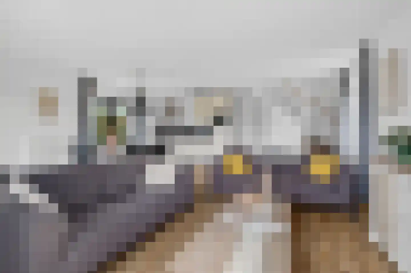De Potten 115 Offingawier thumbnail 13