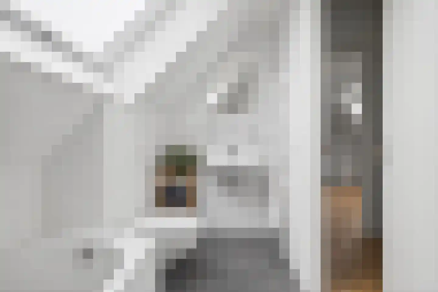 De Potten 115 Offingawier thumbnail 34