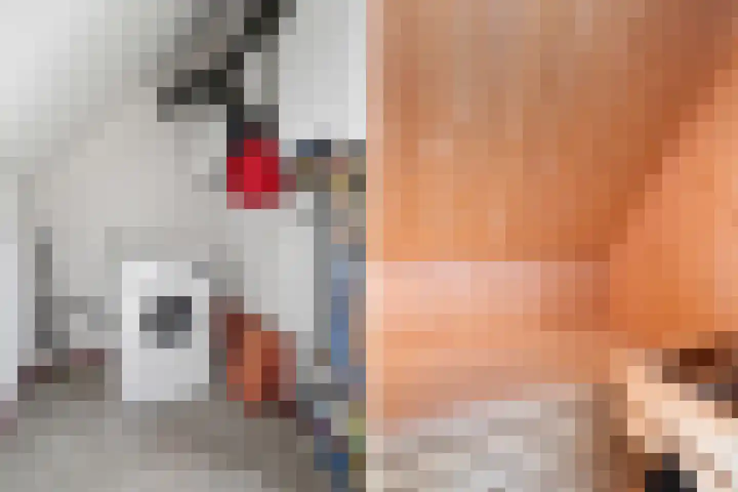 De Potten 115 Offingawier thumbnail 36