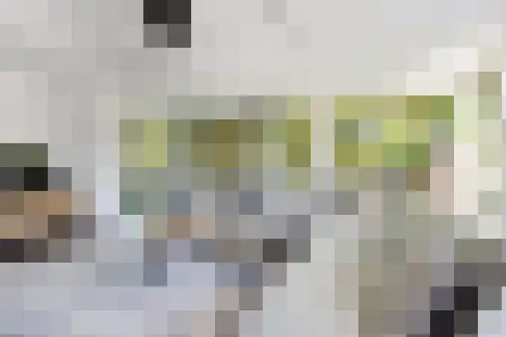 De Potten 51 Offingawier thumbnail 10