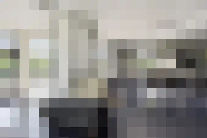 De Potten 51 Offingawier thumbnail 11