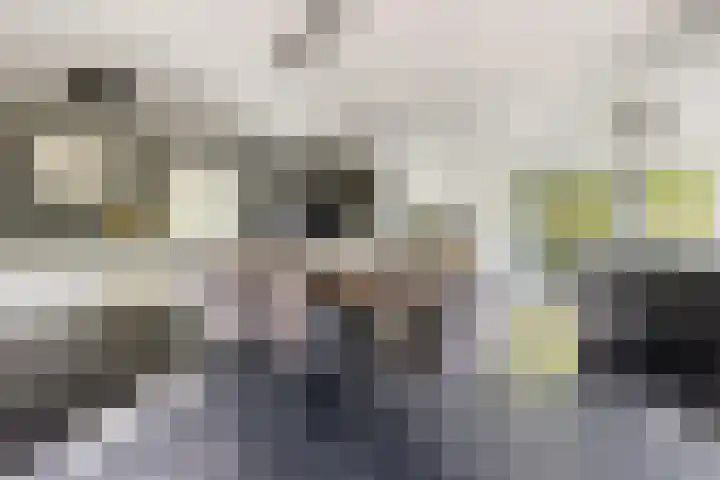 De Potten 51 Offingawier thumbnail 13