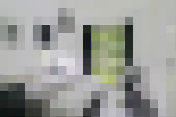 De Potten 51 Offingawier thumbnail 16