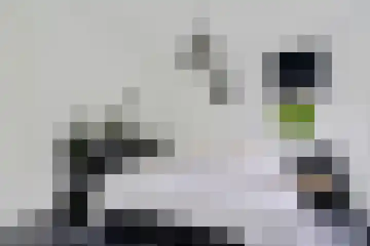 De Potten 51 Offingawier thumbnail 18