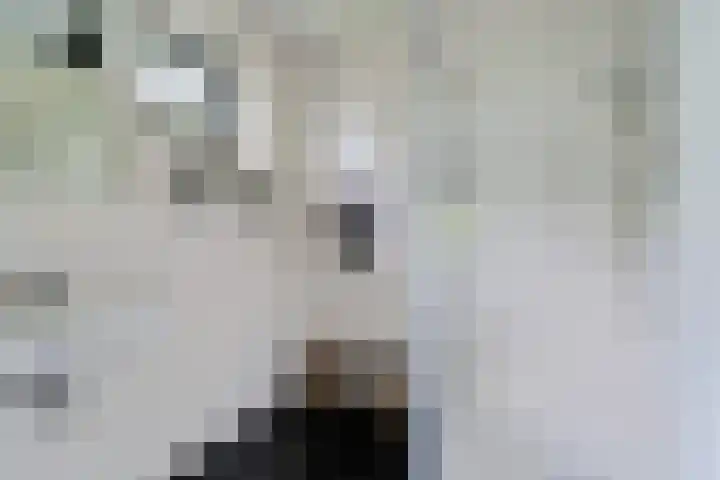 De Potten 51 Offingawier thumbnail 19