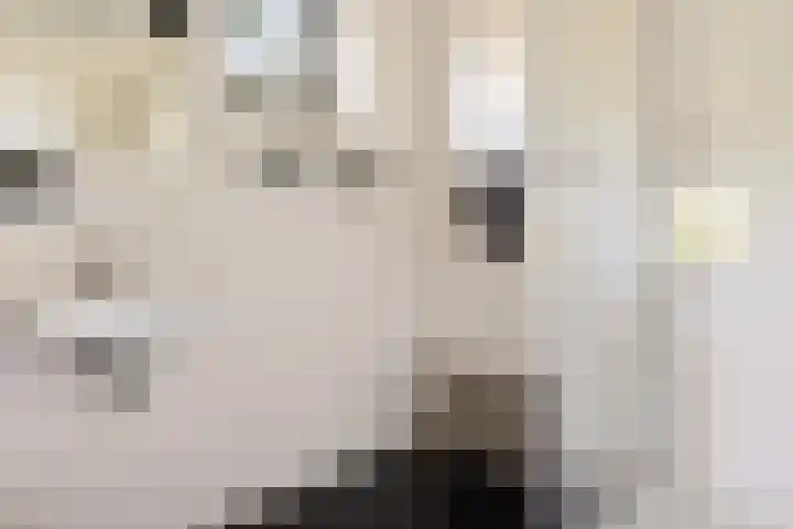 De Potten 51 Offingawier thumbnail 20