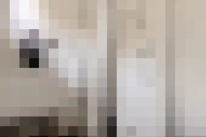 De Potten 51 Offingawier thumbnail 21