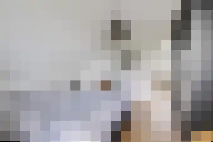 De Potten 51 Offingawier thumbnail 24