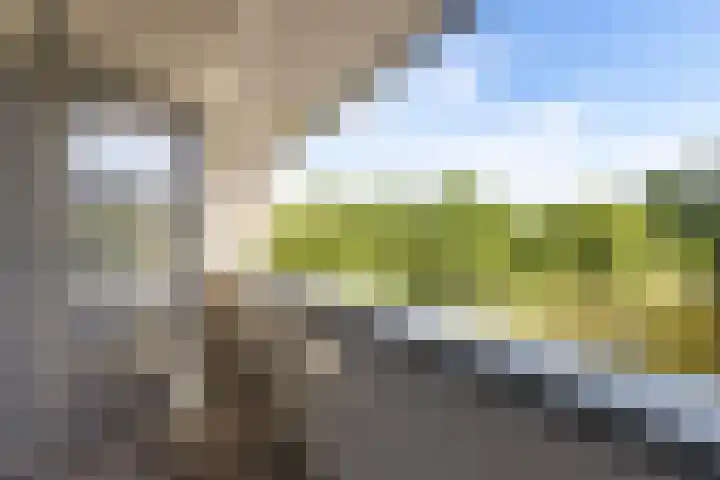 De Potten 51 Offingawier thumbnail 25