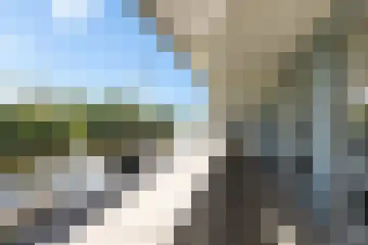 De Potten 51 Offingawier thumbnail 26