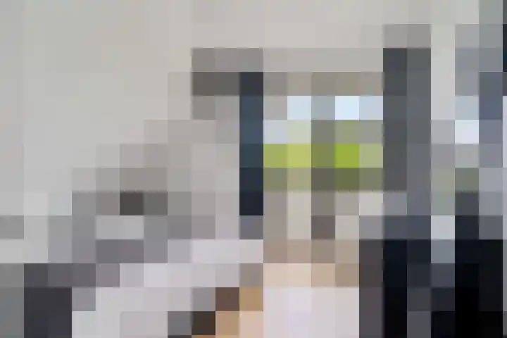 De Potten 51 Offingawier thumbnail 28