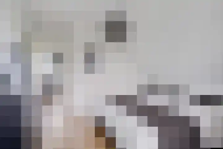 De Potten 51 Offingawier thumbnail 29