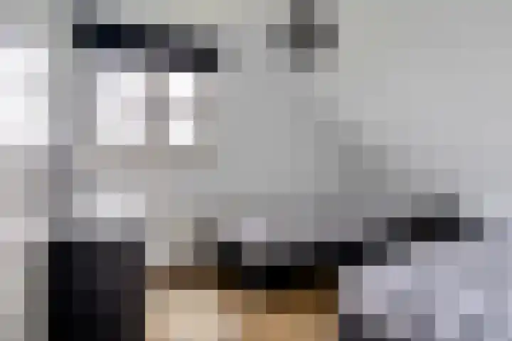 De Potten 51 Offingawier thumbnail 30